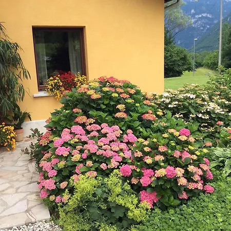 Casa Edith فندق مبيت وإفطار *