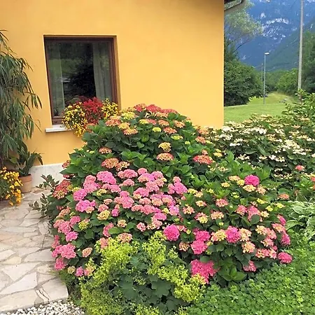 Casa Edith * Libano