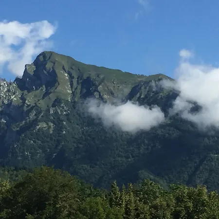 Frühstückspension Casa Edith