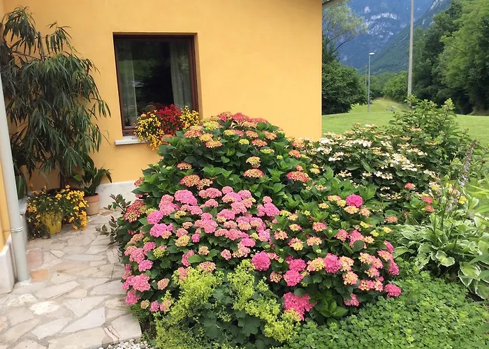 Casa Edith Bed and breakfast *